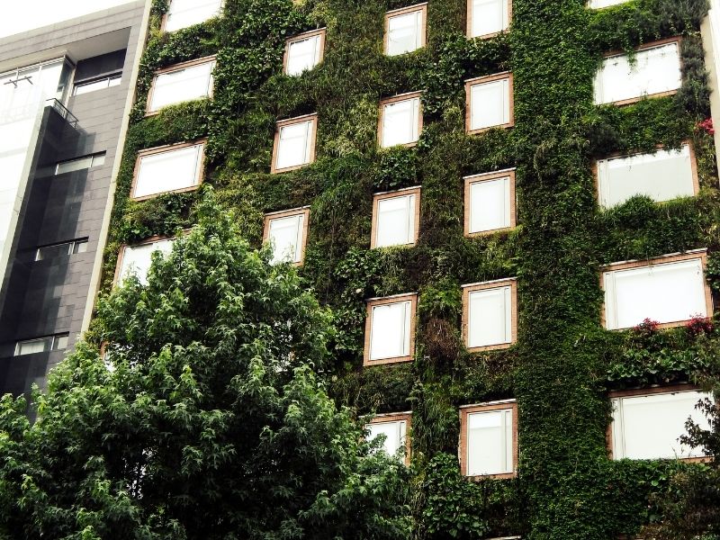 thiết kế kiến trúc khách sạn xanh